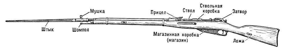 Винтовка образца 1891—1930 Винтовка образца 1891—1930